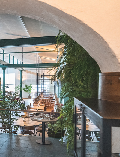 ALFA Restaurant & Lounge | Vision
